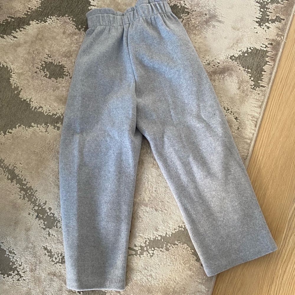 Aritzia Babton cozy pants
